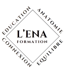 Equus Noéticus Association – Cheval Nouveau –